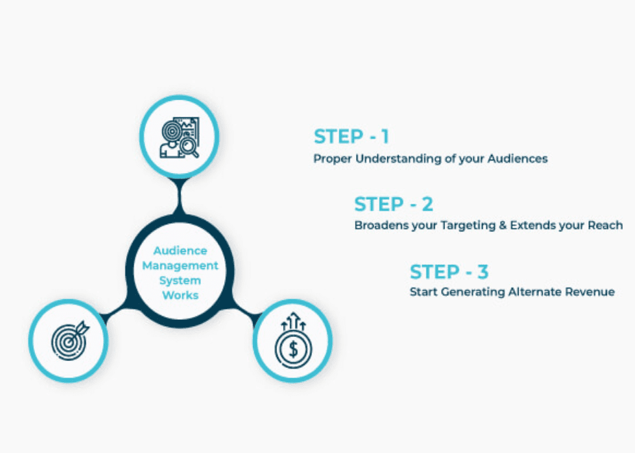 Customer Data Platforms & Audience Management 