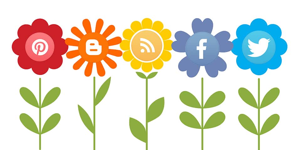 image of flowers representing social media growth