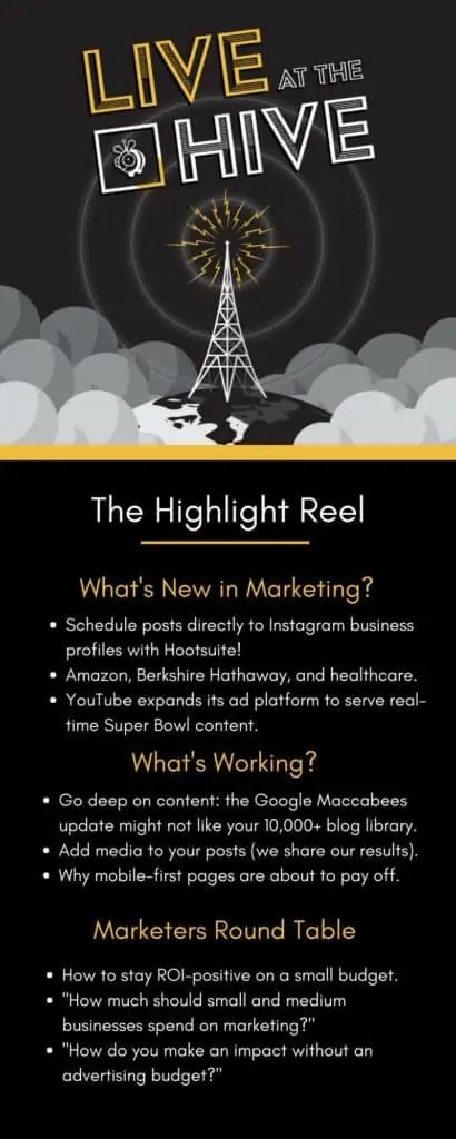 - digital marketing for growing businesses by honeypot marketing Startup Marketing Podcast Live a the Hive, Episode 12 (Feb 2 2018).