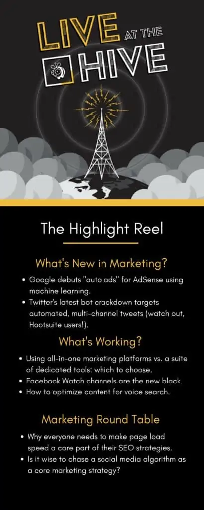 - digital marketing for growing businesses by honeypot marketing Startup Marketing Podcast Live at the Hive, Episode 15 summary.