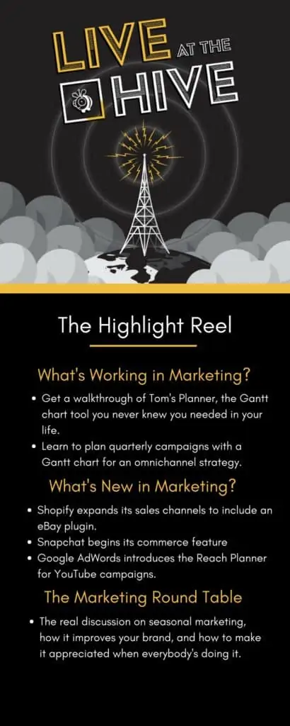 Gantt chart and quarterly planning summary for startup marketing podcast.