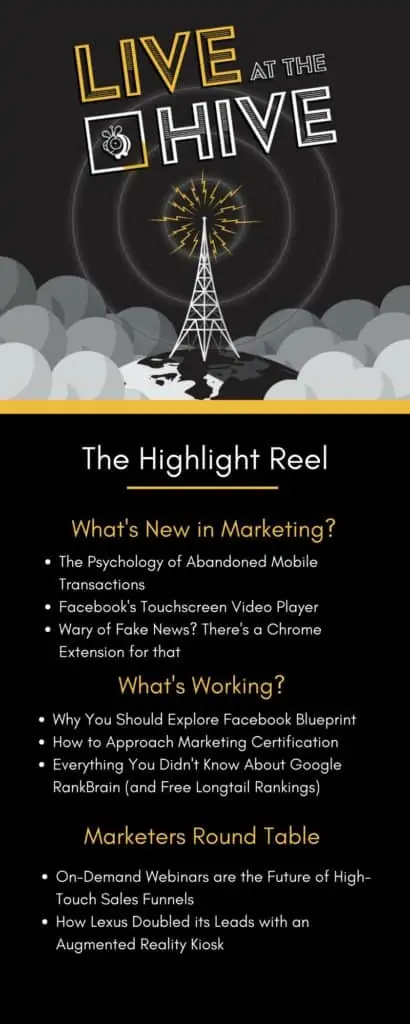 - digital marketing for growing businesses by honeypot marketing