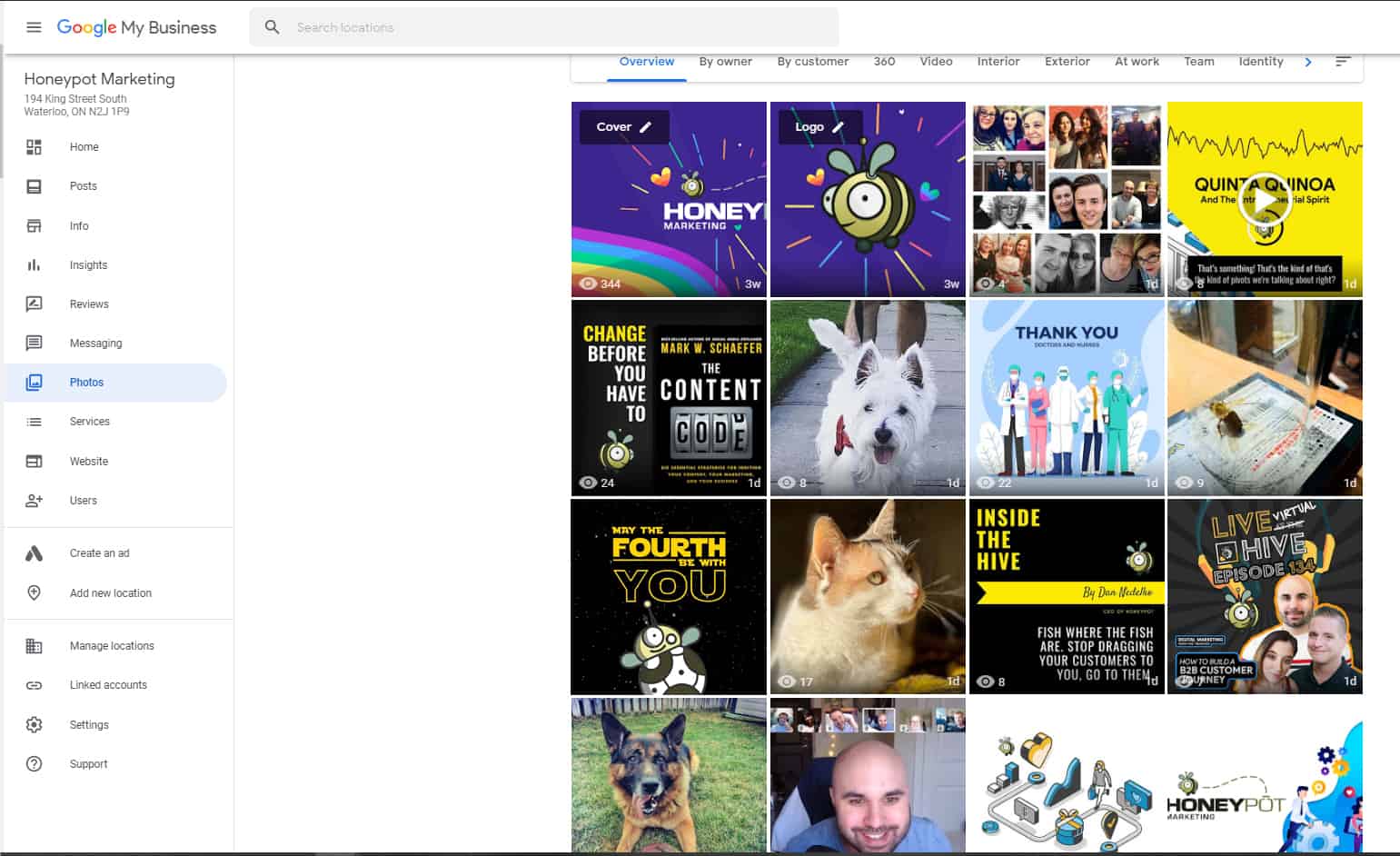 screenshot of honeypot gmb photos