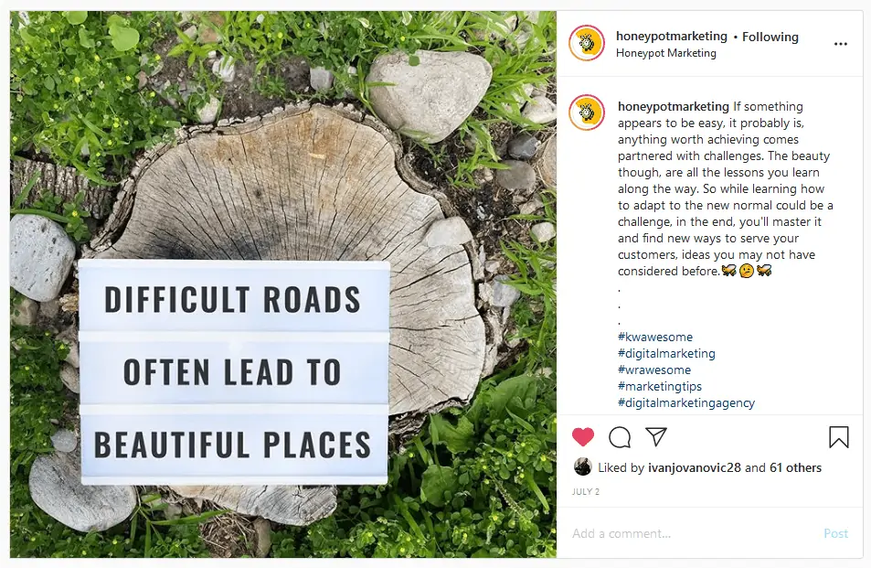 - marketing digital para empresas en crecimiento a través del honeypot marketing copia que convierte