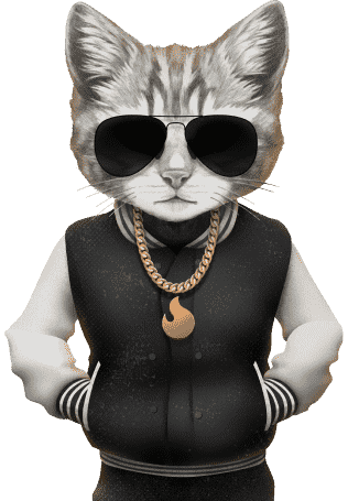 hype-auditor-mascot-cat-in-shades