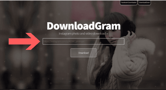 Downloadgram homepage where you can post a photo's link in order to save it to your device