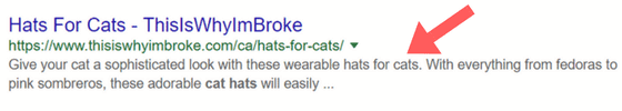 An example of a meta description within Google search results