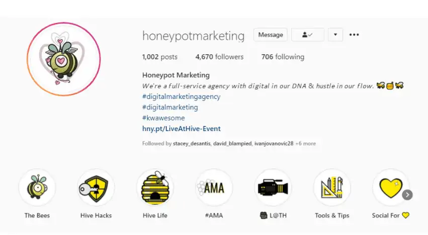 - digital marketing for growing businesses by honeypot marketing Example of optimized Instagram profile.
