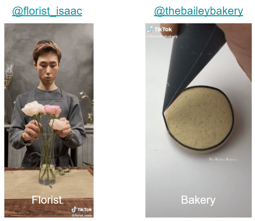 Examples of Tiktok influencers